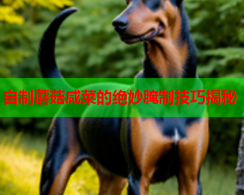 自制蘑菇咸菜的绝妙腌制技巧揭秘