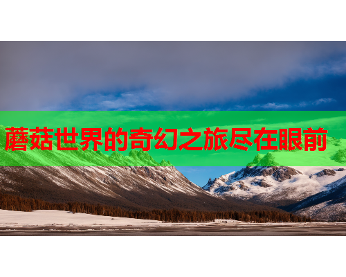 蘑菇世界的奇幻之旅尽在眼前