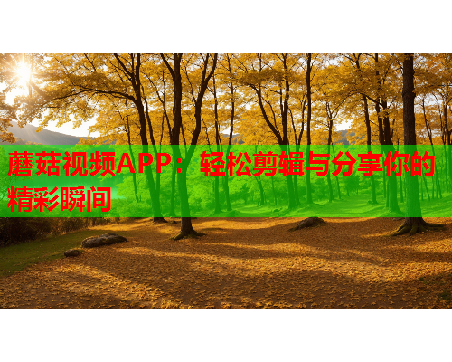 蘑菇视频APP：轻松剪辑与分享你的精彩瞬间