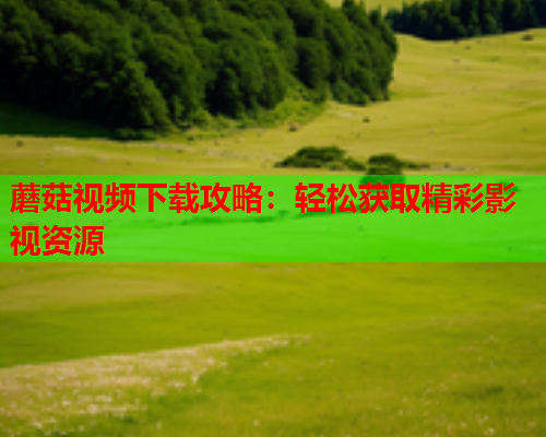 蘑菇视频下载攻略：轻松获取精彩影视资源