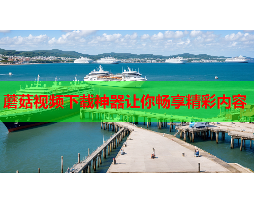 蘑菇视频下载神器让你畅享精彩内容