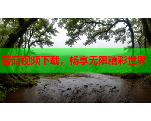 蘑菇视频下载，畅享无限精彩世界