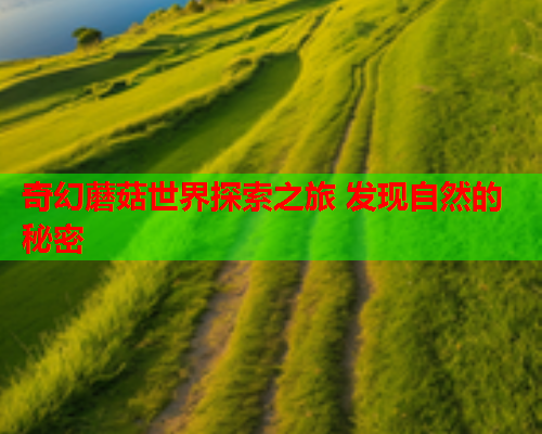 奇幻蘑菇世界探索之旅 发现自然的秘密