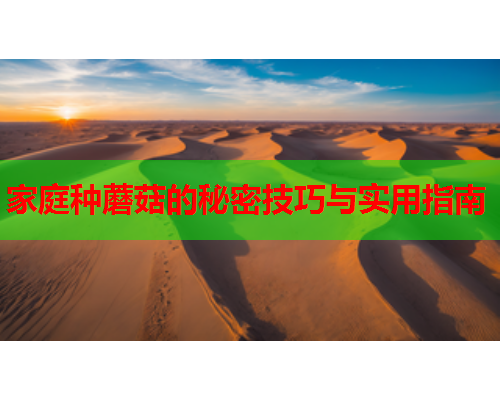 家庭种蘑菇的秘密技巧与实用指南