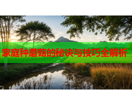 家庭种蘑菇的秘诀与技巧全解析