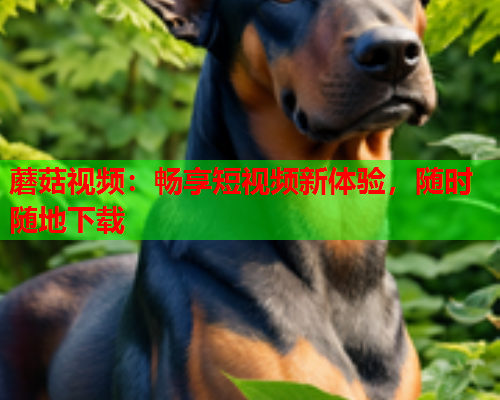 蘑菇视频：畅享短视频新体验，随时随地下载