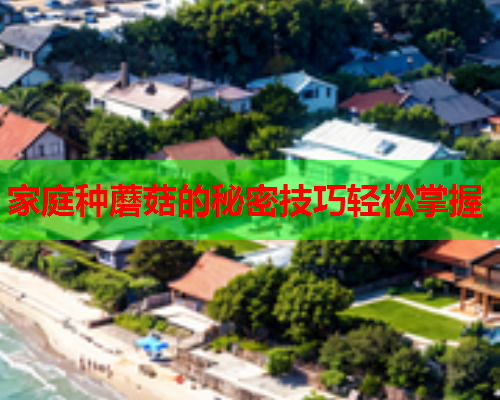 家庭种蘑菇的秘密技巧轻松掌握