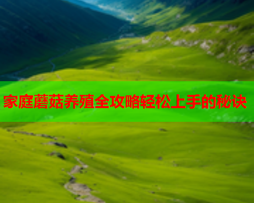 家庭蘑菇养殖全攻略轻松上手的秘诀