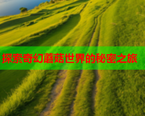 探索奇幻蘑菇世界的秘密之旅
