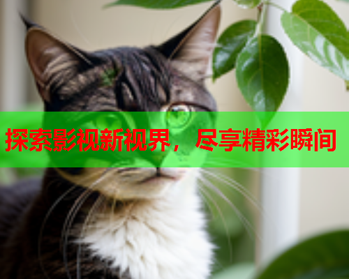 探索影视新视界，尽享精彩瞬间