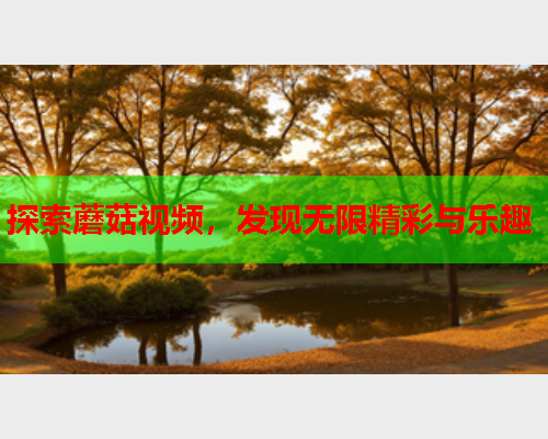 探索蘑菇视频，发现无限精彩与乐趣