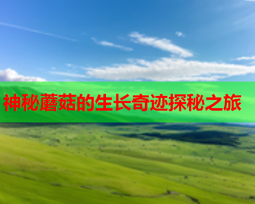 神秘蘑菇的生长奇迹探秘之旅