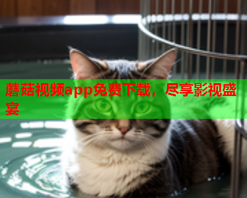 蘑菇视频app免费下载，尽享影视盛宴