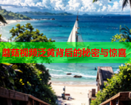 蘑菇视频泛黄背后的秘密与惊喜