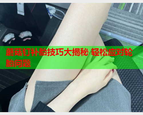 蘑菇钉补胎技巧大揭秘 轻松应对轮胎问题