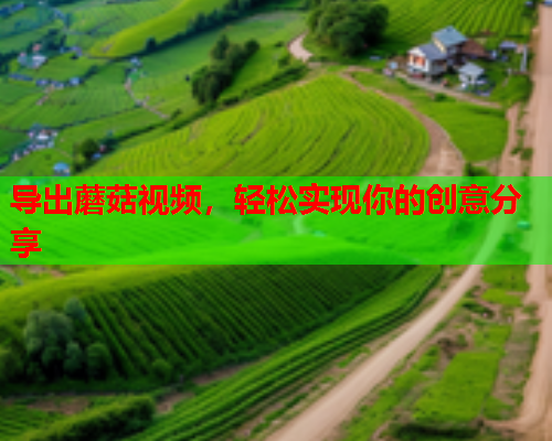 导出蘑菇视频，轻松实现你的创意分享