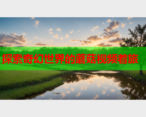 探索奇幻世界的蘑菇视频着旅