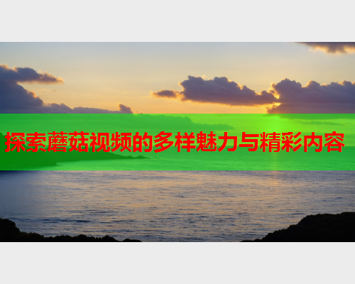探索蘑菇视频的多样魅力与精彩内容