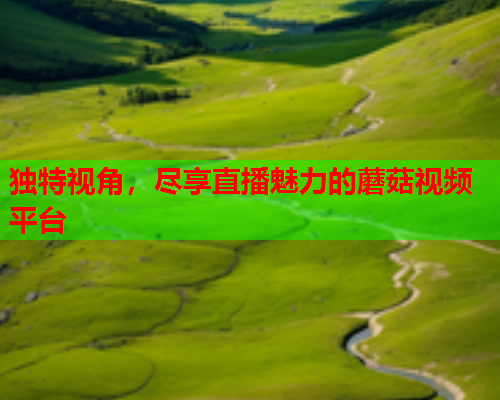独特视角，尽享直播魅力的蘑菇视频平台