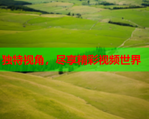 独特视角，尽享精彩视频世界
