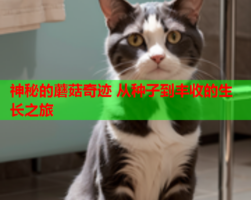 神秘的蘑菇奇迹 从种子到丰收的生长之旅