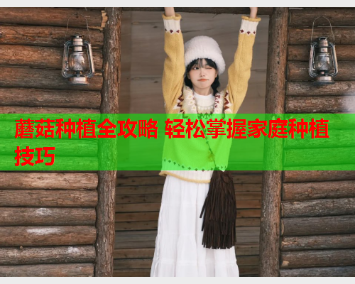 蘑菇种植全攻略 轻松掌握家庭种植技巧