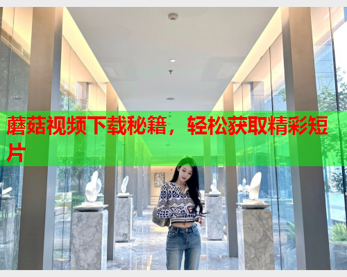 蘑菇视频下载秘籍，轻松获取精彩短片