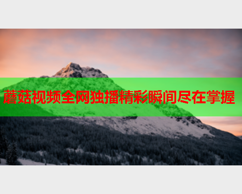 蘑菇视频全网独播精彩瞬间尽在掌握