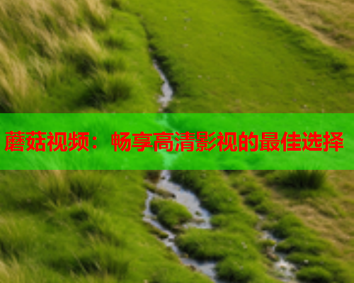 蘑菇视频：畅享高清影视的最佳选择
