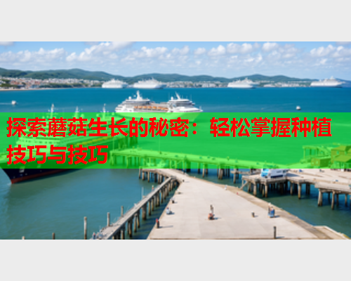 探索蘑菇生长的秘密：轻松掌握种植技巧与技巧