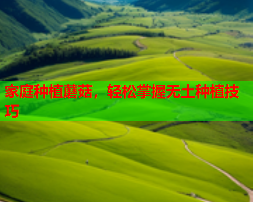 家庭种植蘑菇，轻松掌握无土种植技巧