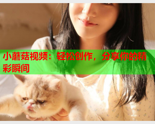 小蘑菇视频：轻松创作，分享你的精彩瞬间