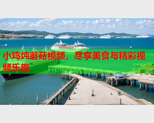 小鸡炖蘑菇视频，尽享美食与精彩视频乐趣