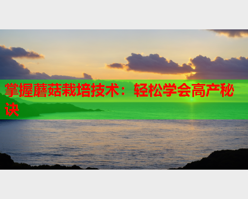 掌握蘑菇栽培技术：轻松学会高产秘诀