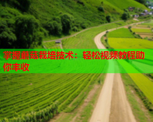 掌握蘑菇栽培技术：轻松视频教程助你丰收