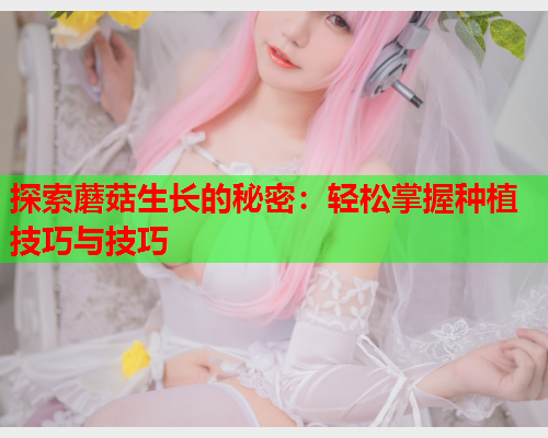 探索蘑菇生长的秘密：轻松掌握种植技巧与技巧