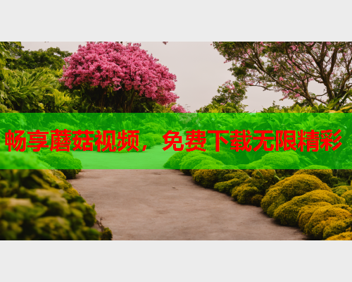 畅享蘑菇视频，免费下载无限精彩