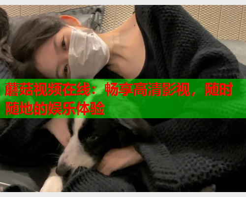 蘑菇视频在线：畅享高清影视，随时随地的娱乐体验