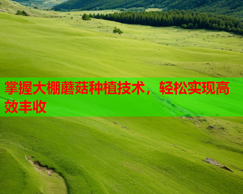 掌握大棚蘑菇种植技术，轻松实现高效丰收