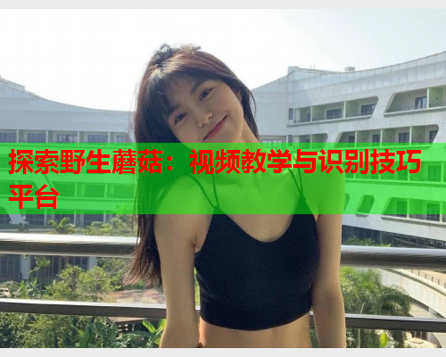 探索野生蘑菇：视频教学与识别技巧平台